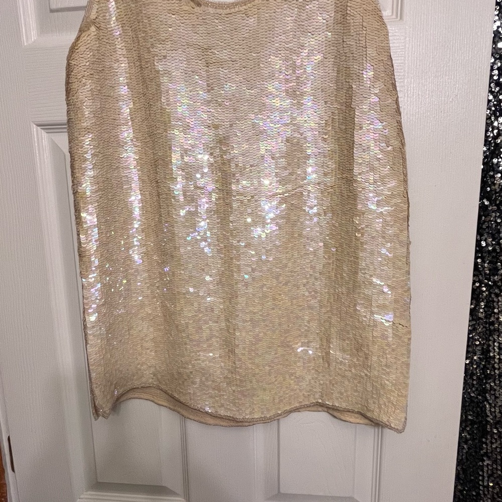 Niteline by Bella Rourfagali size 12-14 Ivory sequin tank AB sequins side slits - Picture 5 of 16